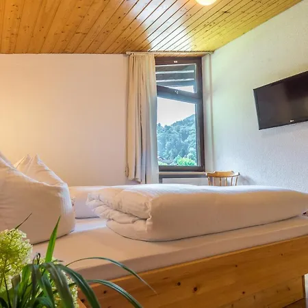 Alpenapart Montafon - Haus Engstler 公寓 施伦斯