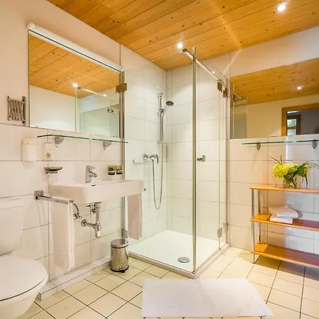 公寓 Alpenapart Montafon - Haus Engstler 施伦斯