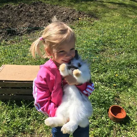 公寓 Alpenapart Montafon - Haus Engstler 施伦斯