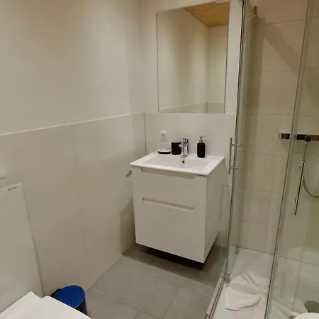 Alpenapart Montafon - Haus Engstler * 施伦斯