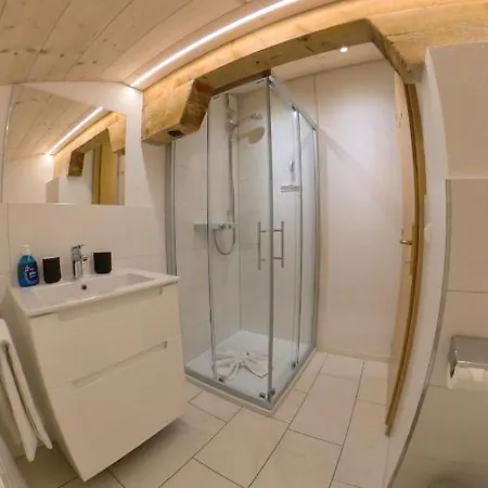 公寓 Alpenapart Montafon - Haus Engstler *