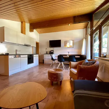 Alpenapart Montafon - Haus Engstler 施伦斯